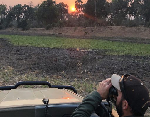 Sausage Tree Camp gallery