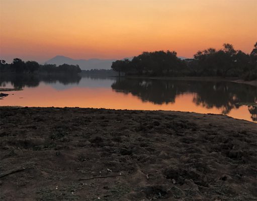 Sausage Tree Camp gallery