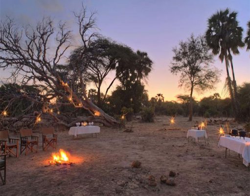 Sausage Tree Camp gallery