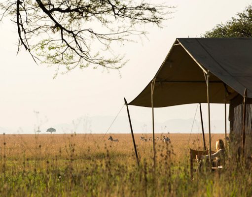 Why A Luxury Tent Safari Tanzania is For You gallery