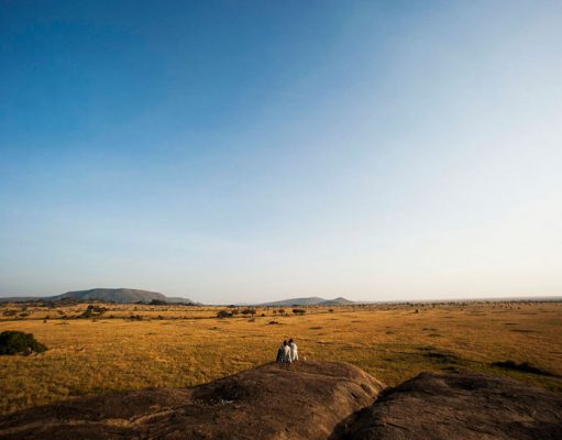 Serengeti Safari gallery