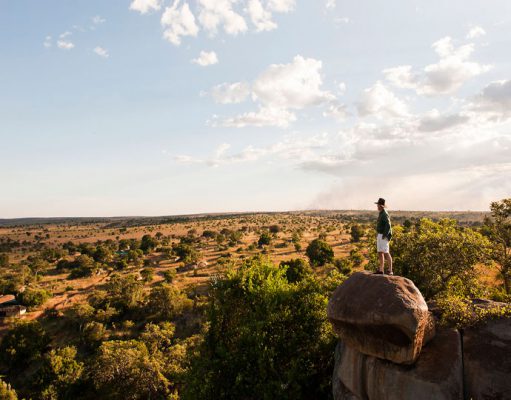 Serengeti Safari gallery