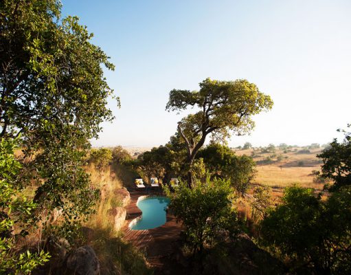 Serengeti Safari gallery