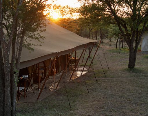 Serian Serengeti gallery