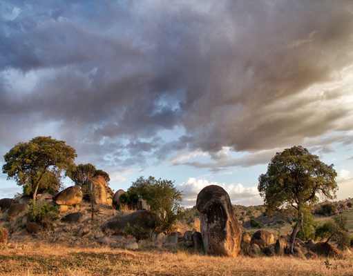 Serian Serengeti gallery