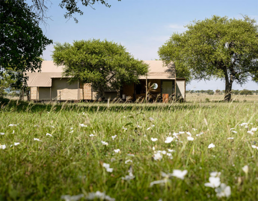 Singita Sabora Singita Mara River Tented Camp Lamai Wedge, Northern Serengeti, Northern Tanzania