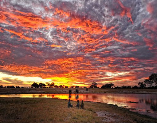 Hwange gallery
