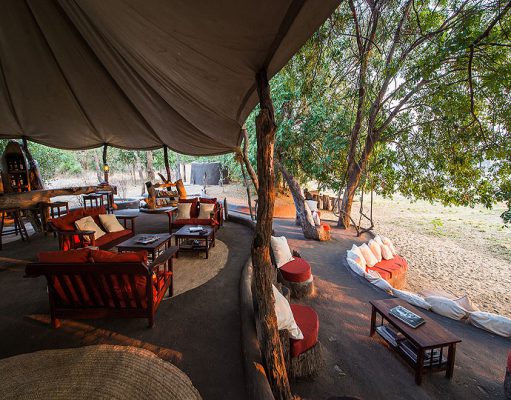 Top Luxury Safari Travel Options gallery