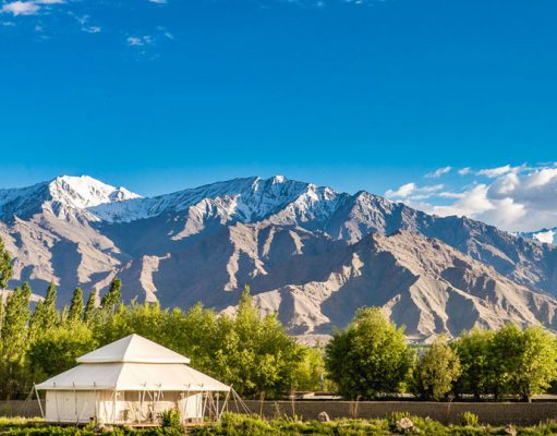 The Ultimate Travelling Camp gallery