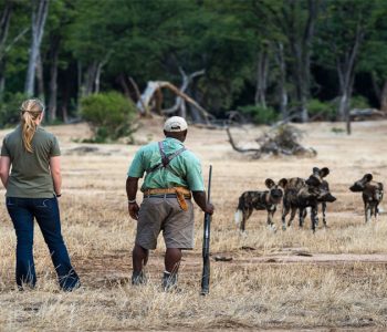 Active Safaris