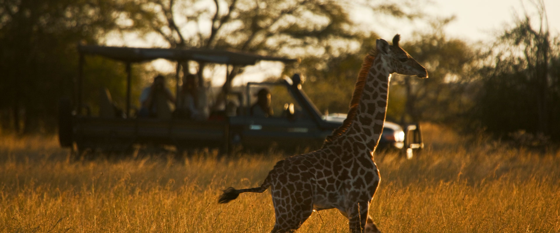 Kenya Safari Inspiration