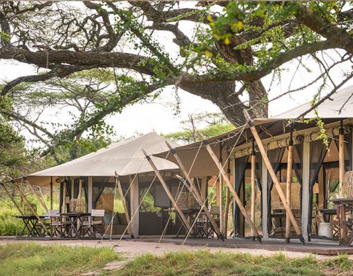 Mila Tented Camp gallery