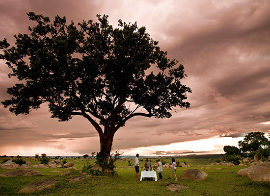 Safari Migration Camps Tanzania