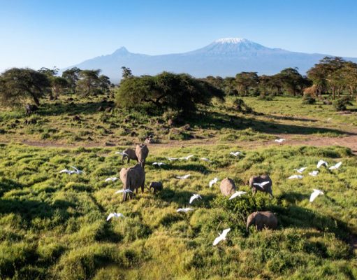 Angama Amboseli Kimana Sanctuary, Amboseli, Southern Kenya