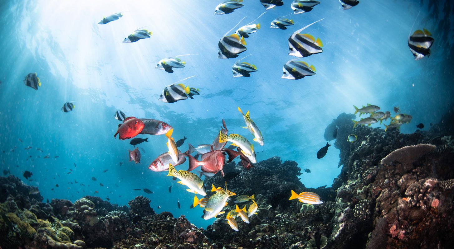 Fundu Lagoon Lodge, Pemba Island, Zanzibar, Indian Ocean Luxury Holidays