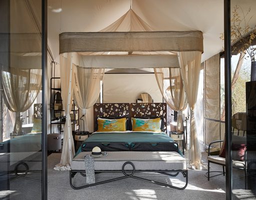 Molori Mashuma Camp
