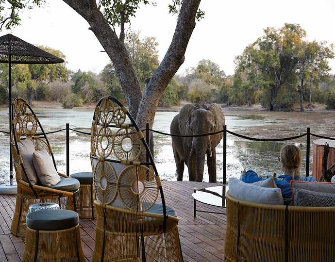 Molori Mashuma world-class luxury safari tented camp wilderness of Mana Pools National Park in Zimbabwe.