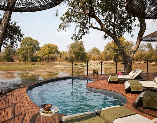 Molori Mashuma Camp