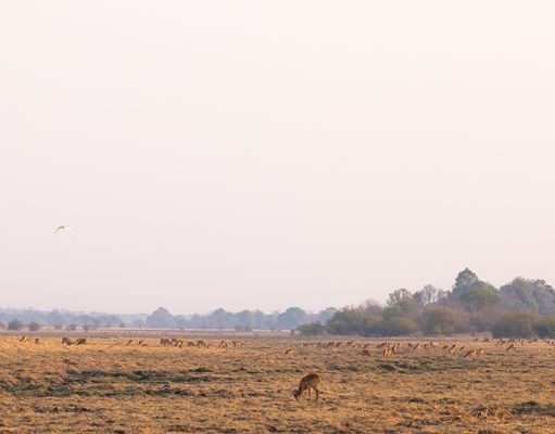 Lwenge River Camp gallery