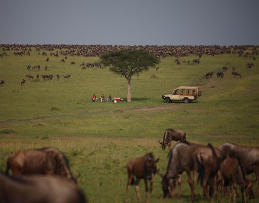 Naibor Camp gallery
