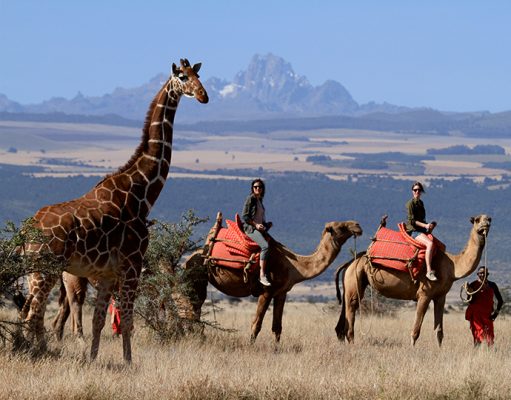 Lewa, Northern Kenya