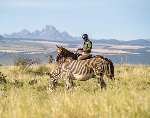 Private Wilderness Lodge gallery