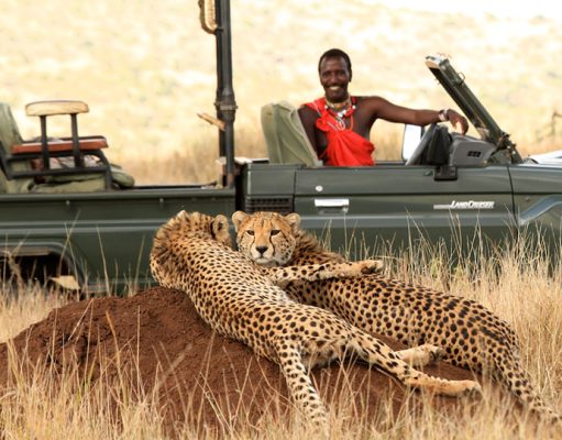 Wilderness Lodge Lewa, Northern Kenya