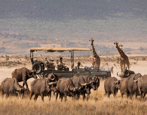 Northern Kenya