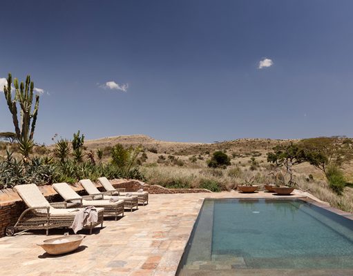 Northern Kenya Safari Holidays