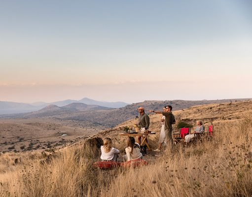 Private Wilderness Lodge Lewa, Northern Kenya