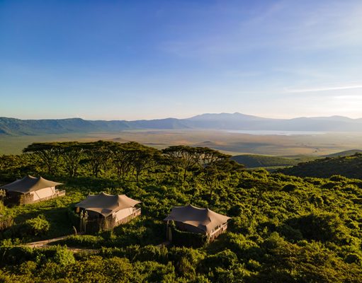 Ngorongoro Conservation Area Tanzania Crater's Edge