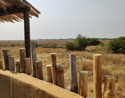 Ntemwa Busanga Camp gallery