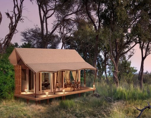 Nkasa Linyanti gallery