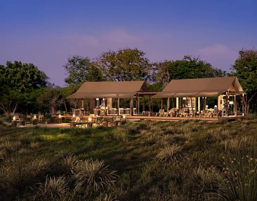 Nkasa Linyanti gallery