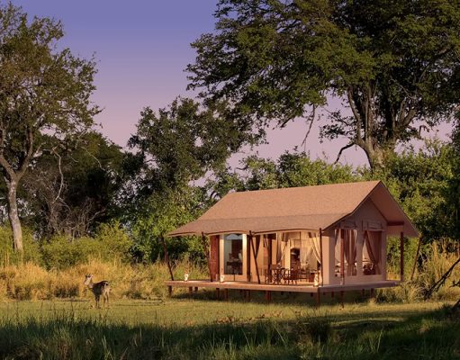 Nkasa Linyanti gallery