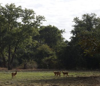 Into Africa’s Last Eden