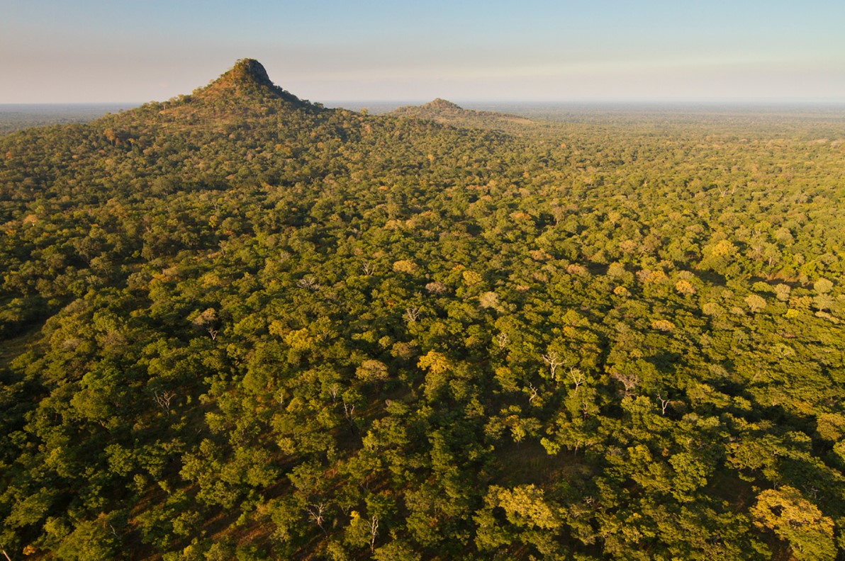 Gorongosa